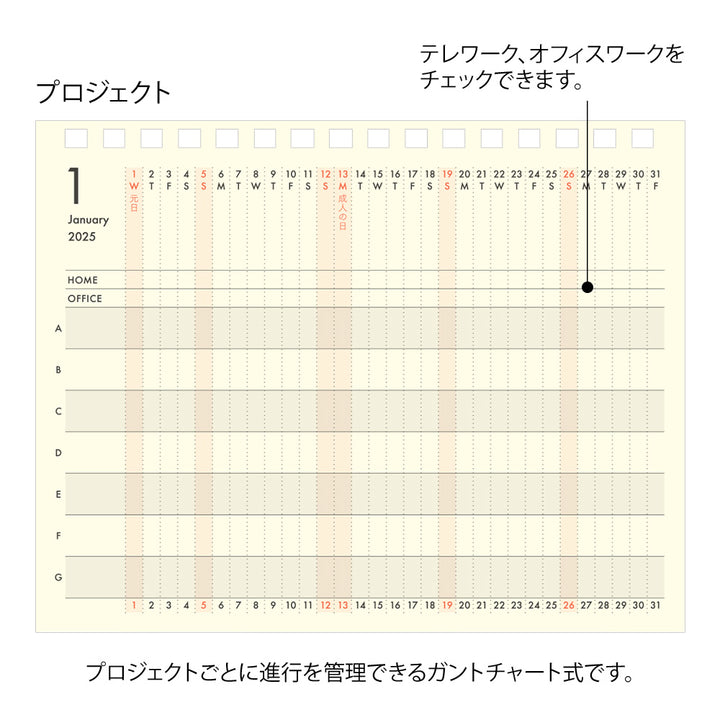 Midori Plus Stand Diary 2025 - B6