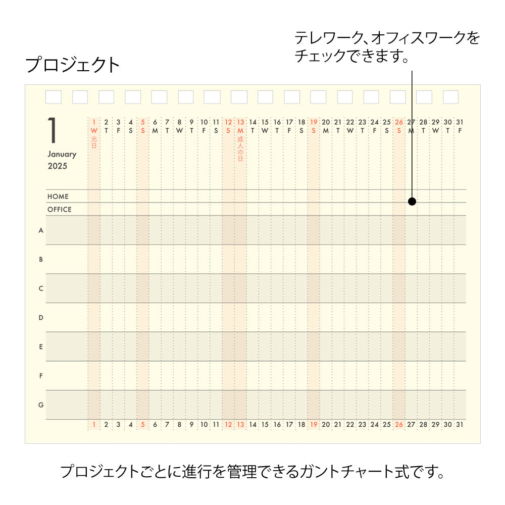 Midori Plus Stand Diary 2025 - B6