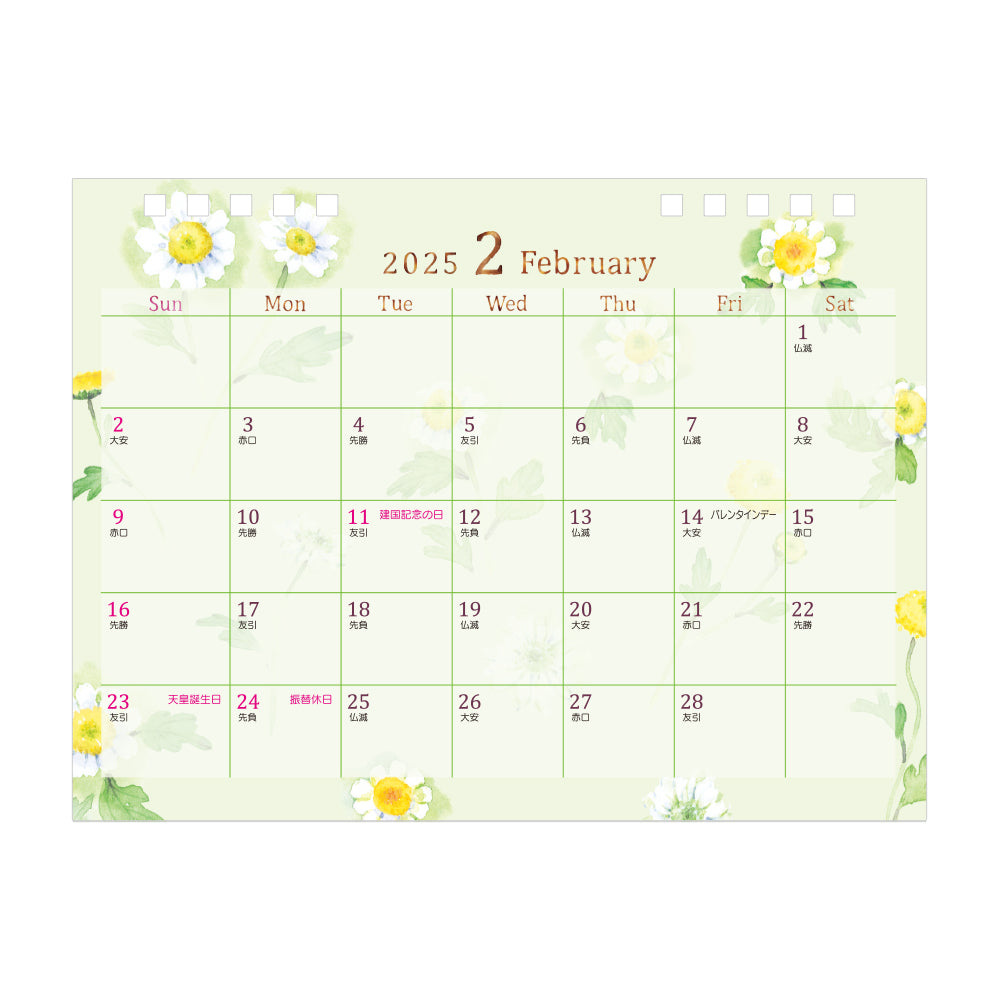 Midori Calendar Ring Country Time Flower 2025 - M