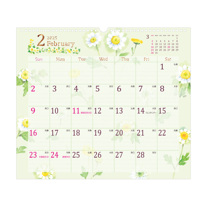 Midori Calendar Wall-Hanging L Country Time Flower 2025